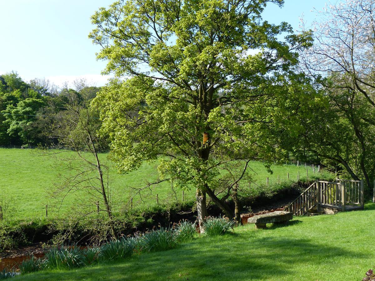 Millbrook Bed & Breakfast เพนิสโทน ภายนอก รูปภาพ